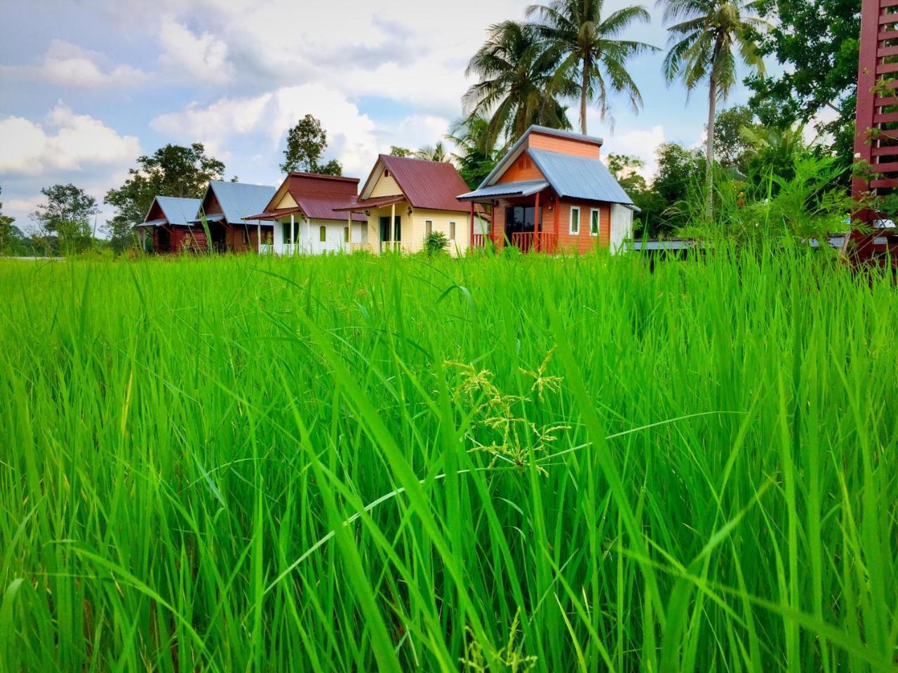 Baan Thung Home Stay Prasat Eksteriør bilde