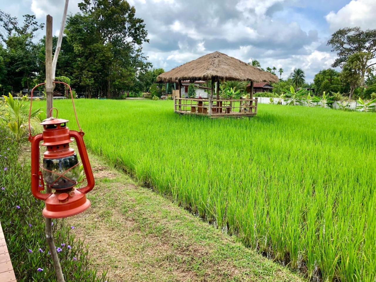 Baan Thung Home Stay Prasat Eksteriør bilde